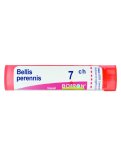 Bellis Perennis Boiron 7CH Granuli