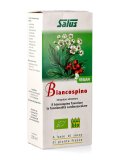 BIANCOSPINO
Il biancospino aiuta la circolazione

