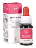 Biancospino - Basegemmo