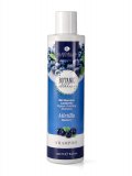 Bio Shampoo Lucidante Mirtillo