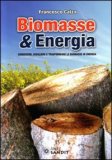Biomasse & Energia — Libro