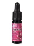 Blackberry - Fiori Californiani - Dose