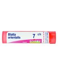 Blatta Orientalis Boiron 7CH Granuli