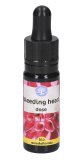 Bleeding Heart - Fiori Californiani - Dose