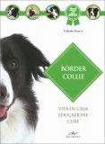Border Collie — Libro