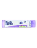 Bovista Gigantea Boiron 30CH Granuli