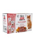 Brit Care Flavour Box per Gatti
