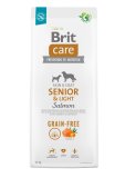 Brit Care Grain Free Senior & Light Salmone