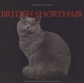 British Shorthair  — Libro