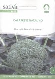 Semi di Broccolo Calabrese Natalino