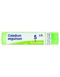 Caladium Seguinum Boiron 5CH Granuli