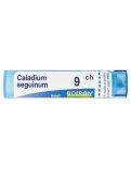 Caladium Seguinum Boiron 9CH Granuli
