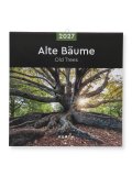 Calendario da Parete Alberi Secolari 2027 — Calendario