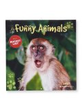 Calendario da Parete Animali Divertenti 2027 — Calendario