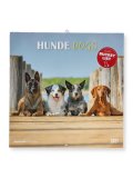 Calendario da Parete Cani 2027 — Calendario