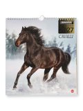 Calendario da Parete Cavalli 2027 — Calendario