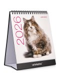 Calendario Gatti 2026 — Calendario