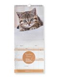 Calendario Familiare Gattini 2027 — Calendario