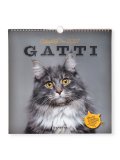 Calendario Gatti 2027 — Calendario