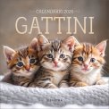Calendario Gattini 2026 — Calendario