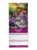 Calendario Gattini 2026 - Family Planner — Calendario