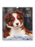 Calendario Magnum Cani 2026 — Calendario