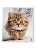 Calendario Magnum Gatti 2026 — Calendario