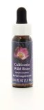 California Wild Rose - Fiori californiani