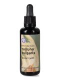 Calluna Vulgaris - Gemmoderivato - Giovani Getti