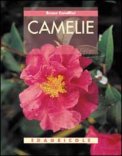 Camelie — Libro