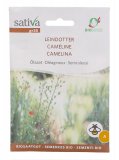 Semi di Camelina - Semi Oleosi