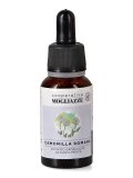 Camomilla Romana - Estratto Idroalcolico da Pianta Fresca