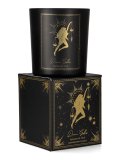 Candela Esoteric Collection