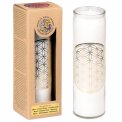 Candela Fiore della Vita - Stearina in Vetro