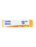 Candida Albicans Boiron XMK Globuli Monodose