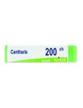 Cantharis Boiron 200CH Globuli Monodose