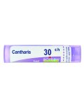 Cantharis Boiron 30CH Granuli