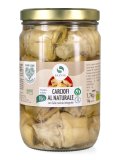 Carciofi al Naturale Biologici