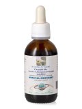 Carciofo Bio - Estratto Idroalcolico