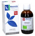 Carciofo - Macerato di Pianta Fresca Bio
