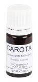 Carota - Olio Essenziale Puro