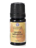 Carota Selvatica - Olio Essenziale Floripotenziato