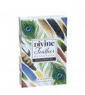 Carte per la Divinazione - Divine Feather Messenger