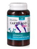 Cartilago Pro - Capsule