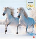 Cavalli Calendario 2026 — Calendario