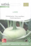 Semi di Cavolo Rapa Bianca Lanro
