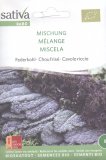 Semi di Cavolo Riccio Miscela