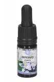 Centaury - Soluzione Madre