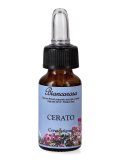 Cerato - Fiori di Bach