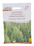 Semi di Cereale Frumento Invernale